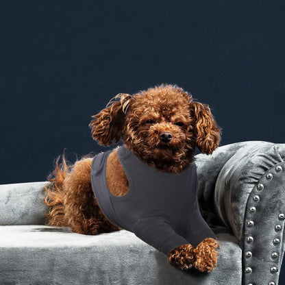 1 Pair Breathable Elastic Dog Elbow Protector for Post-Surgery, Prevents Licking and Biting, Size S Light Gray