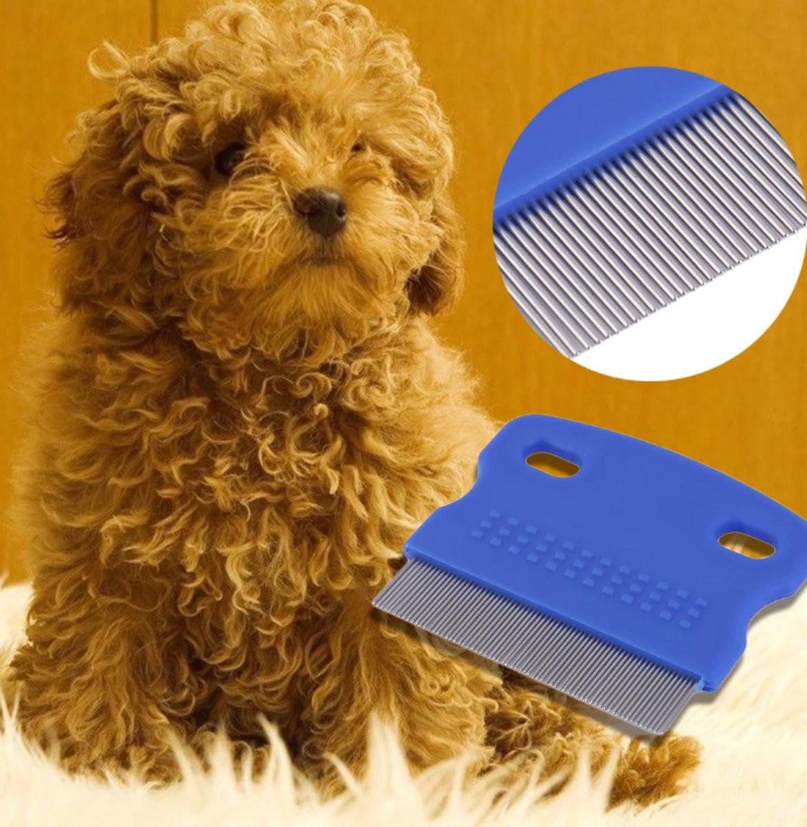Lice Comb | Lice Brush | Flea Comb | Nits Comb | Lice Remover | Stainless Steel Brushes | Plastic Barrel | Fine | Random Color.