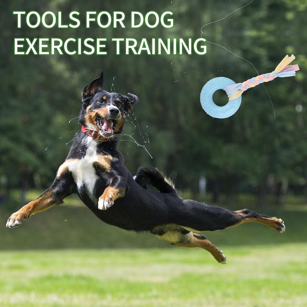 4 PCS Puppy Chew Toys - Relieves teething - Soft rubber & rope toys - Durable and interactive - Suitable for small dog breeds