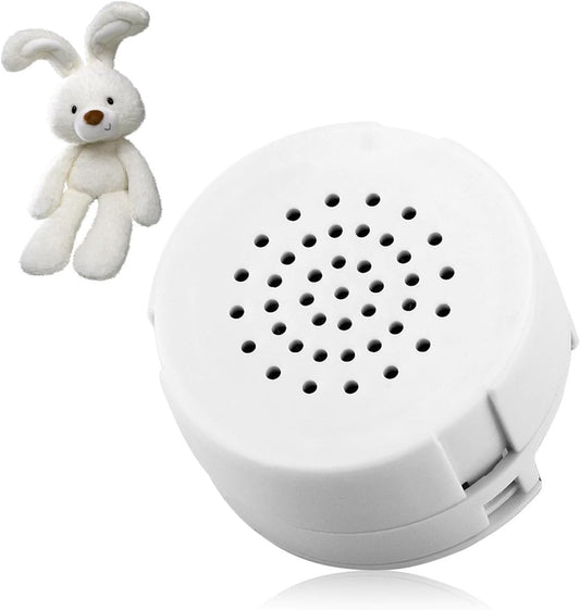 Voice Recorder for Plush â 30 seconds, customizable, DIY gift.