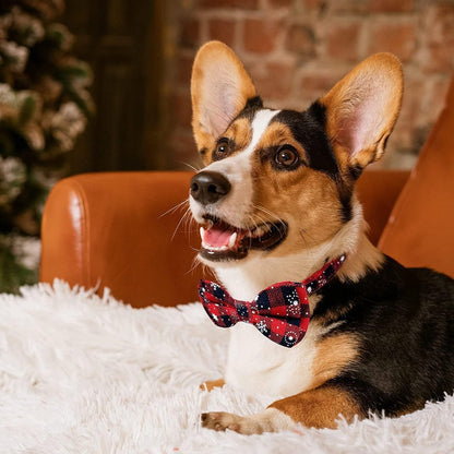 Christmas Dog Bow Tie - Festive Dog Bow Tie - Collar with Bow - Dog Collar - Red - Checkered Bowtie - Adjustable Neckline - Dog Accessories - Dog Clothing - Dogwear - Christmas - Gift - Size L