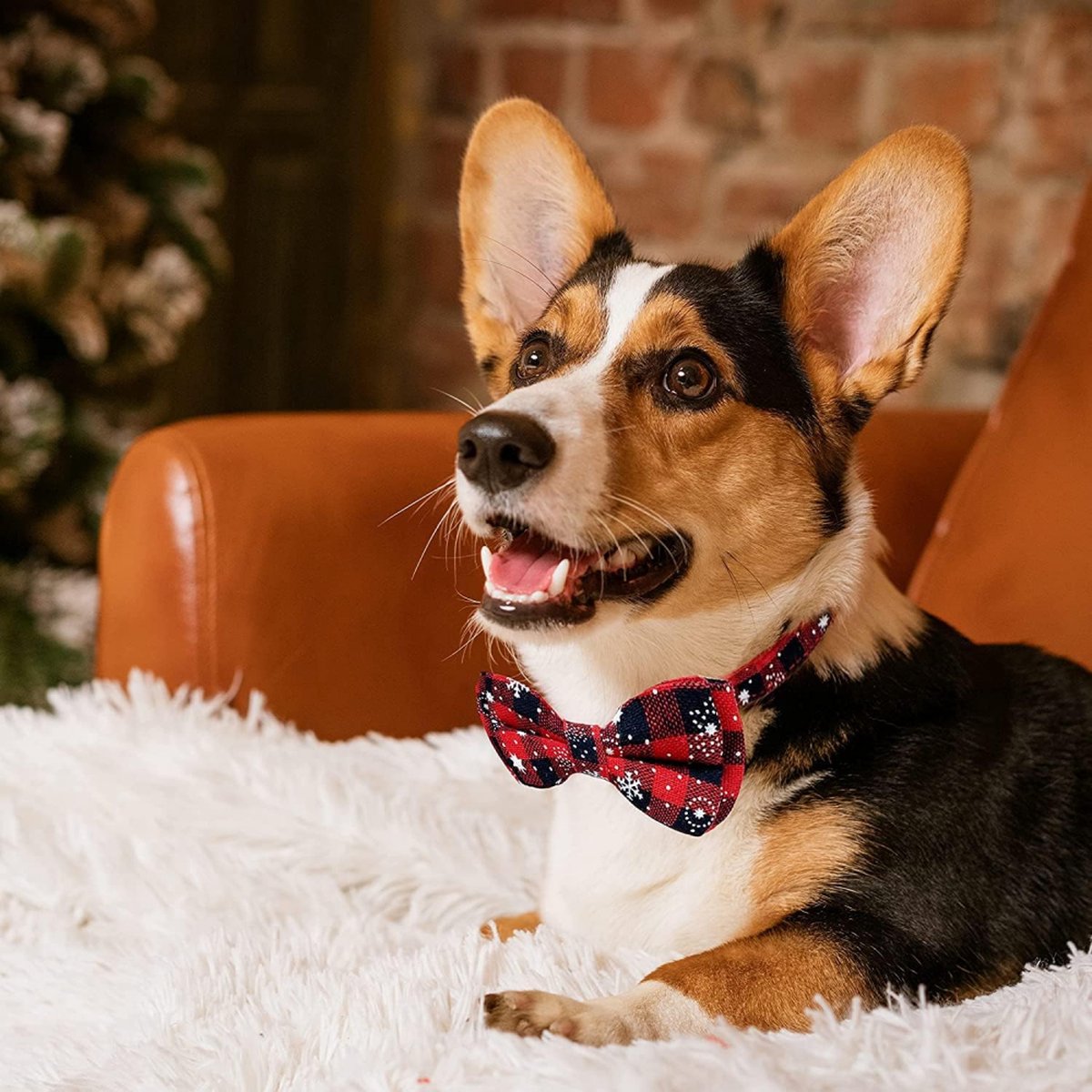 Christmas Dog Bow Tie - Festive Dog Bow Tie - Collar with Bow - Dog Collar - Red - Checkered Bowtie - Adjustable Neckline - Dog Accessories - Dog Clothing - Dogwear - Christmas - Gift - Size M