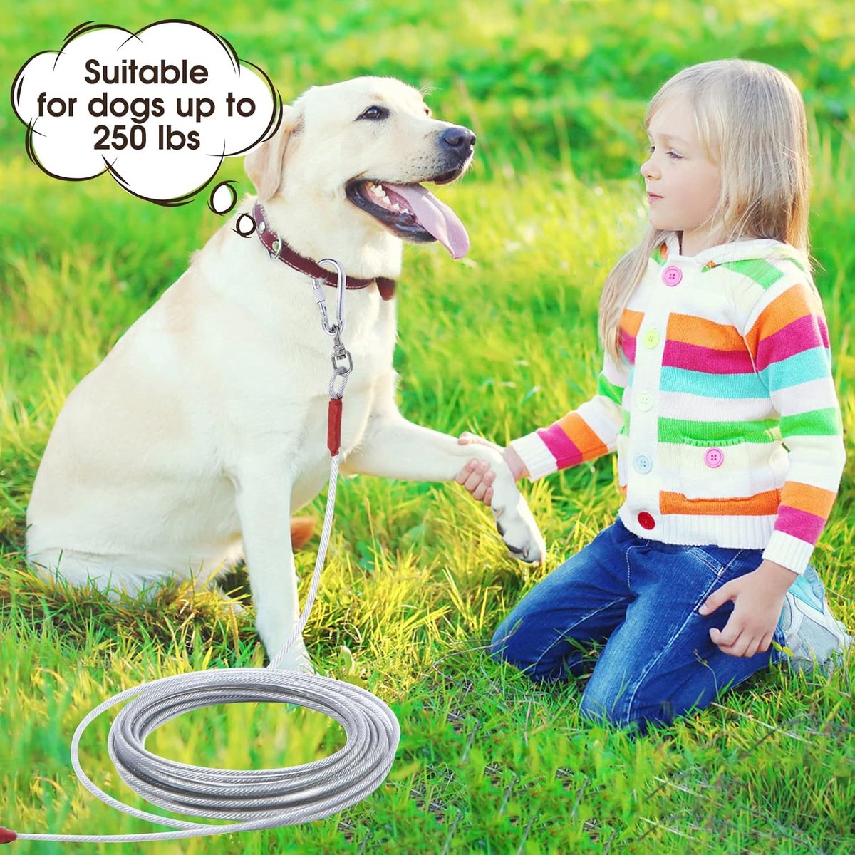Dog leash - 10 m - cat leash - Active and Large Dogs - Bite-resistant - Retractable leash - Steel cable - Pet leash - Very Hard - bold - Sturdy - Thick - Practical - Unbreakable - Lots of playtime fun - Prevents getting lost - Free play on the lawn