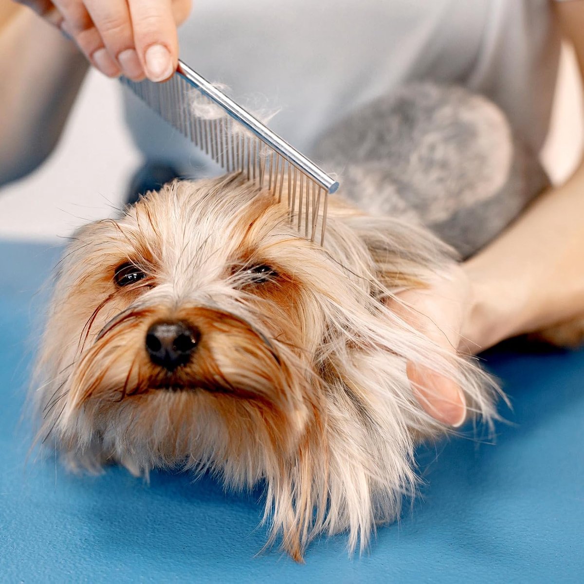Dog Comb Long Hair Brush Steel Comb for Pet Care Tangle Removal Knots - Set of 2