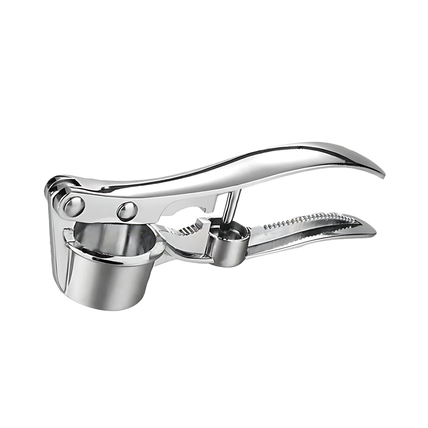 Stainless Steel Garlic Press Rocker, Garlic Mincer With Studs, Heavy Duty Garlic Chopper, Effective Garlic Peeler, Easy to Clean Kitchen Gadget for Minced Garlic, Dishwasher Safe 【500+ bought since yesterday】B