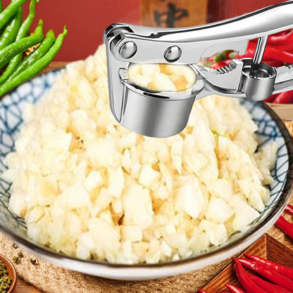 Stainless Steel Garlic Press Rocker, Garlic Mincer With Studs, Heavy Duty Garlic Chopper, Effective Garlic Peeler, Easy to Clean Kitchen Gadget for Minced Garlic, Dishwasher Safe 【500+ bought since yesterday】B