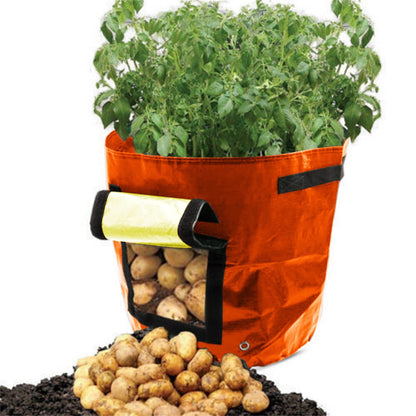 Suncoda Summer Savings 34x35cm Potato Grow Bag with Side Window & Handles 13" x 14" Black#1.