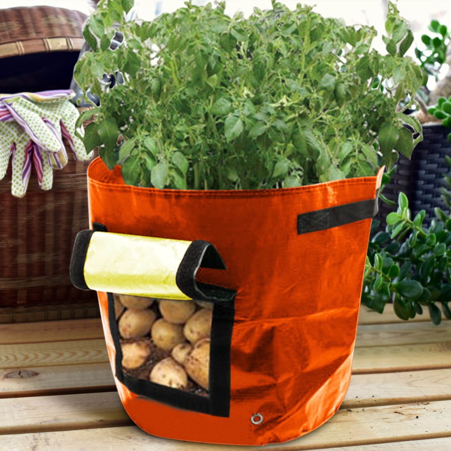Suncoda Summer Savings 34x35cm Potato Grow Bag with Side Window & Handles 13" x 14" Black#1.
