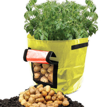 Suncoda Summer Savings 34x35cm Potato Grow Bag with Side Window & Handles 12" x 14" Black#2.