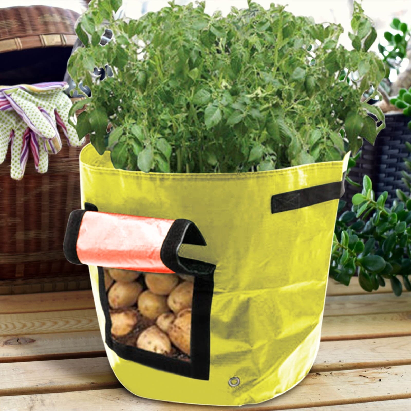 Suncoda Summer Savings 34x35cm Potato Grow Bag with Side Window & Handles 12" x 14" Black#2.