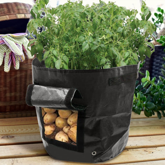 Suncoda Summer Savings 34x35cm Potato Grow Bag with Side Window & Handles 14" x 20" Gray#4.