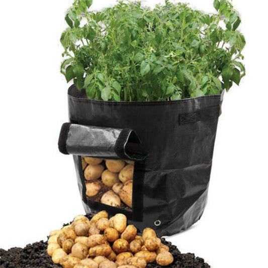 Suncoda Summer Savings 34x35cm Potato Grow Bag with Side Window & Handles 14" x 18" Orange#3.