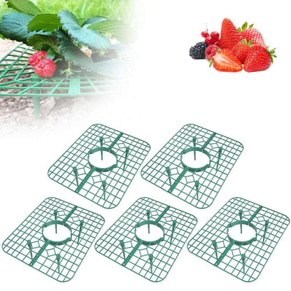JWDX Rack Clearance, Strawberry Plant Support Strawberry Stand Keeping Strawberry Plants Clean Strawberry Growing Racks Strawberry Growing Frame（5Pcs） B