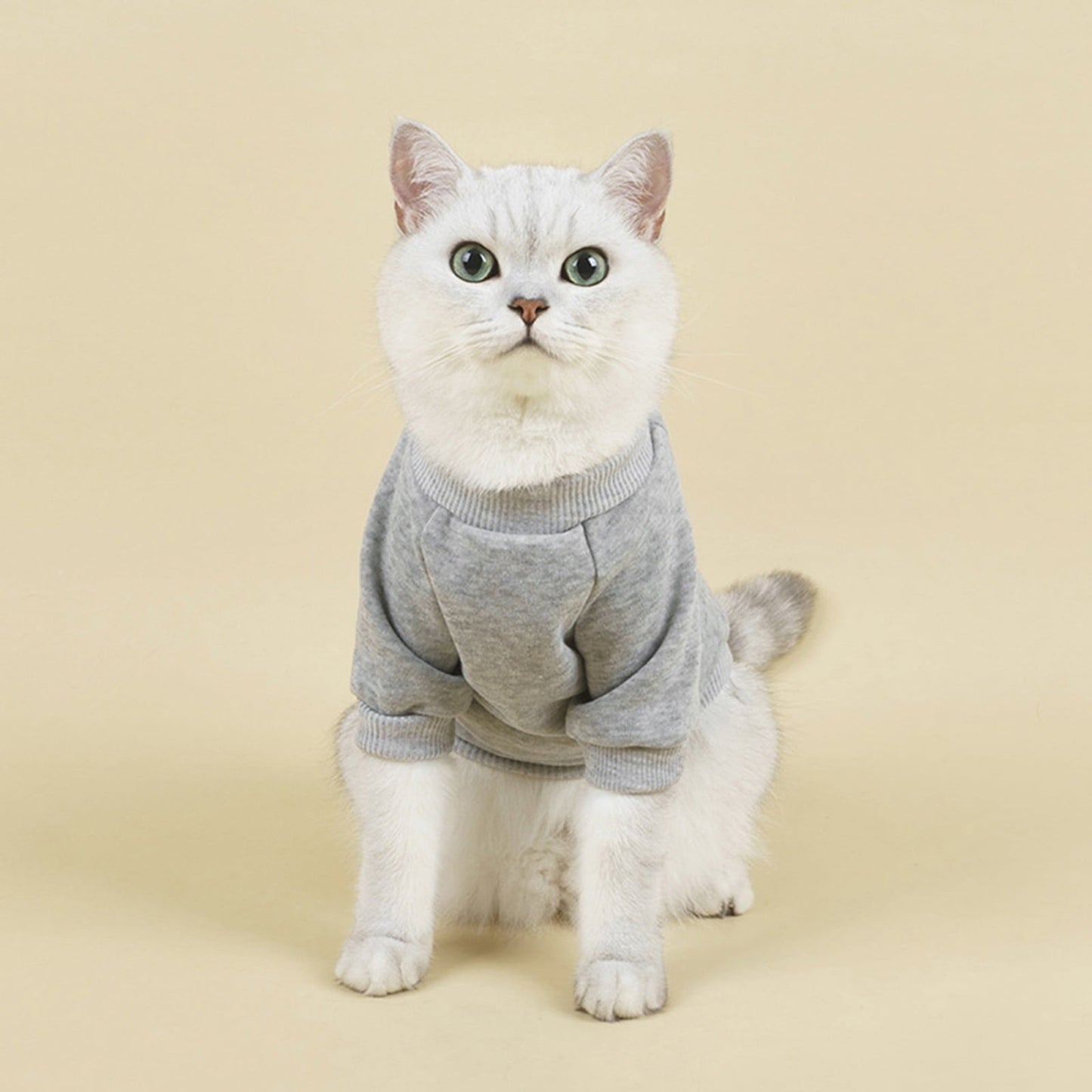 LGCASL Pet Hoodie, Dog Winter Sweater Cat Warm Clothes Pet Sweater Round Neck Solid Color Thickening Cat Dog Knitwear Sweater for Cats Or Dogs in Cold Season (Light Blue, S) S Grey