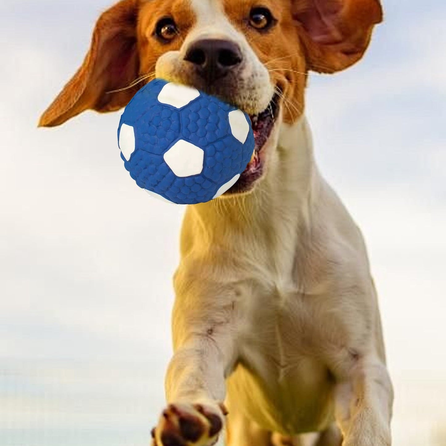 LGCASL Soccer Ball Chew Toy Dog Toy Squeak Rubber Fun Suitable for Large and Medium Sized Dogs Dog Toy Squeak Rubber Fun Suitable for Large and Medium Sized Dogs (Blue, L) S Blue