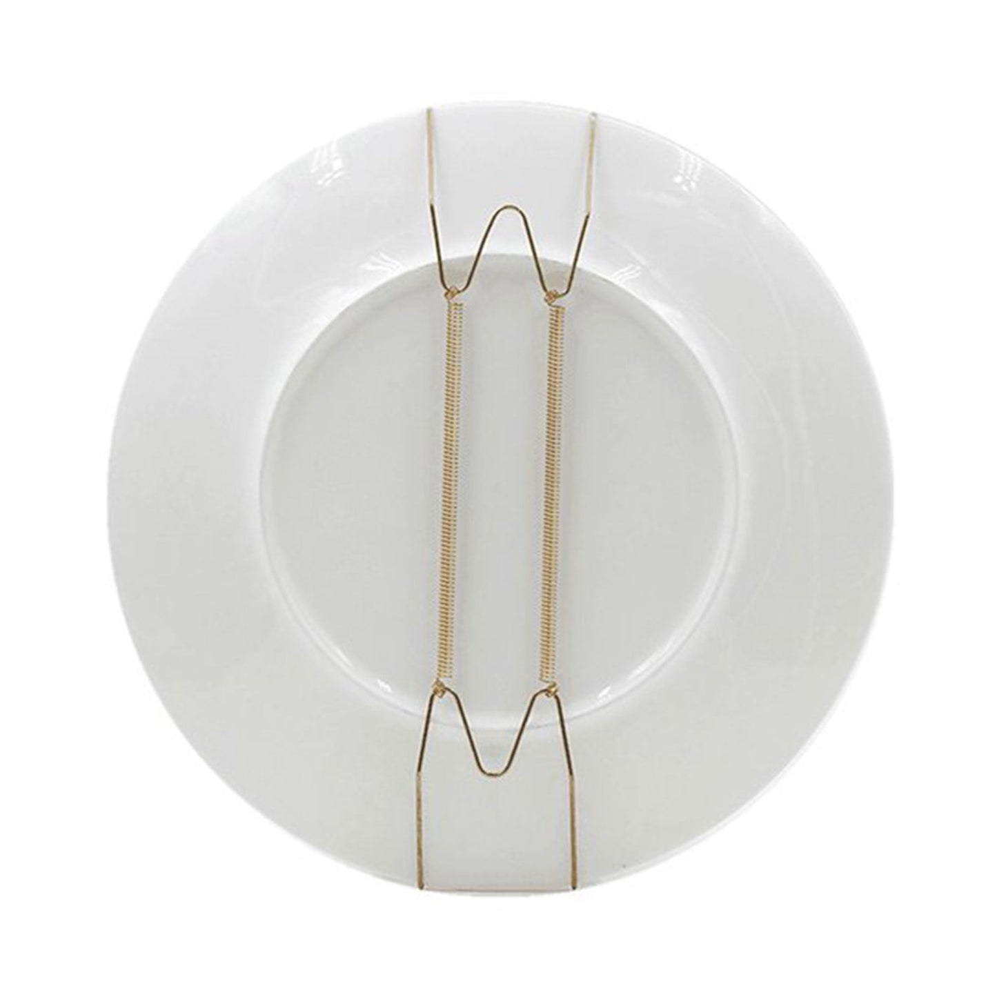 JWDX Hooks Clearance! Dish Display Plate Hangers 10 Pack Stainless Steel Decorative Wire Plate Hanger Holders in Spring Hook Holder Hanging Wire for Decorative Plates and Art Gold