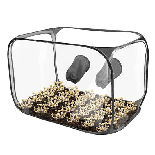 Still Air Box, Mushroom Grow Kit, Portable Compact Still Air Box Mycology Balck Smile Home