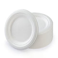 6 inch Round Disposable White Bagasse Dinner Plate, 100% Compostable Natural Sugarcane Fibers, Heavy Duty Leak-Proof Environmentaly Friendly, Biodegradable - 1 Count 6.1" x 6.1" x 0.59" White*5