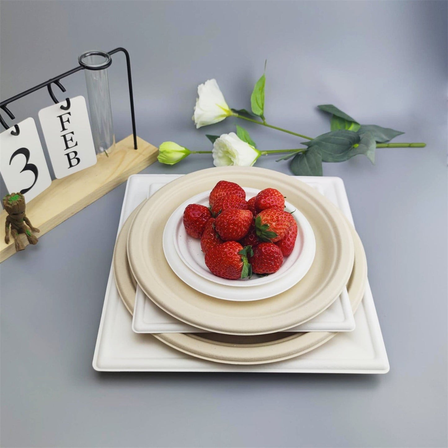 6 inch Round Disposable White Bagasse Dinner Plate, 100% Compostable Natural Sugarcane Fibers, Heavy Duty Leak-Proof Environmentaly Friendly, Biodegradable - 1 Count 6.1" x 6.1" x 0.59" White*5