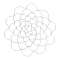 Stainless Steel Flower Arranger Frog, Wire Flower Arrangement Holder, Round Floral Lid Organizer Grid Tool, for Floral Plant Vase Stems Bouquets Fixation, Gold, 4 Inches 6" Silver