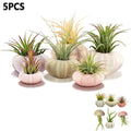 Tutuviw 5 Pcs Mini Sea Urchin Shell Air Plant Holders,Decorative Hanging Air Plant Pot, Tillandsia Succulent Display Container for Home Gardening Gifts Beach Theme Party Decors, No Plants