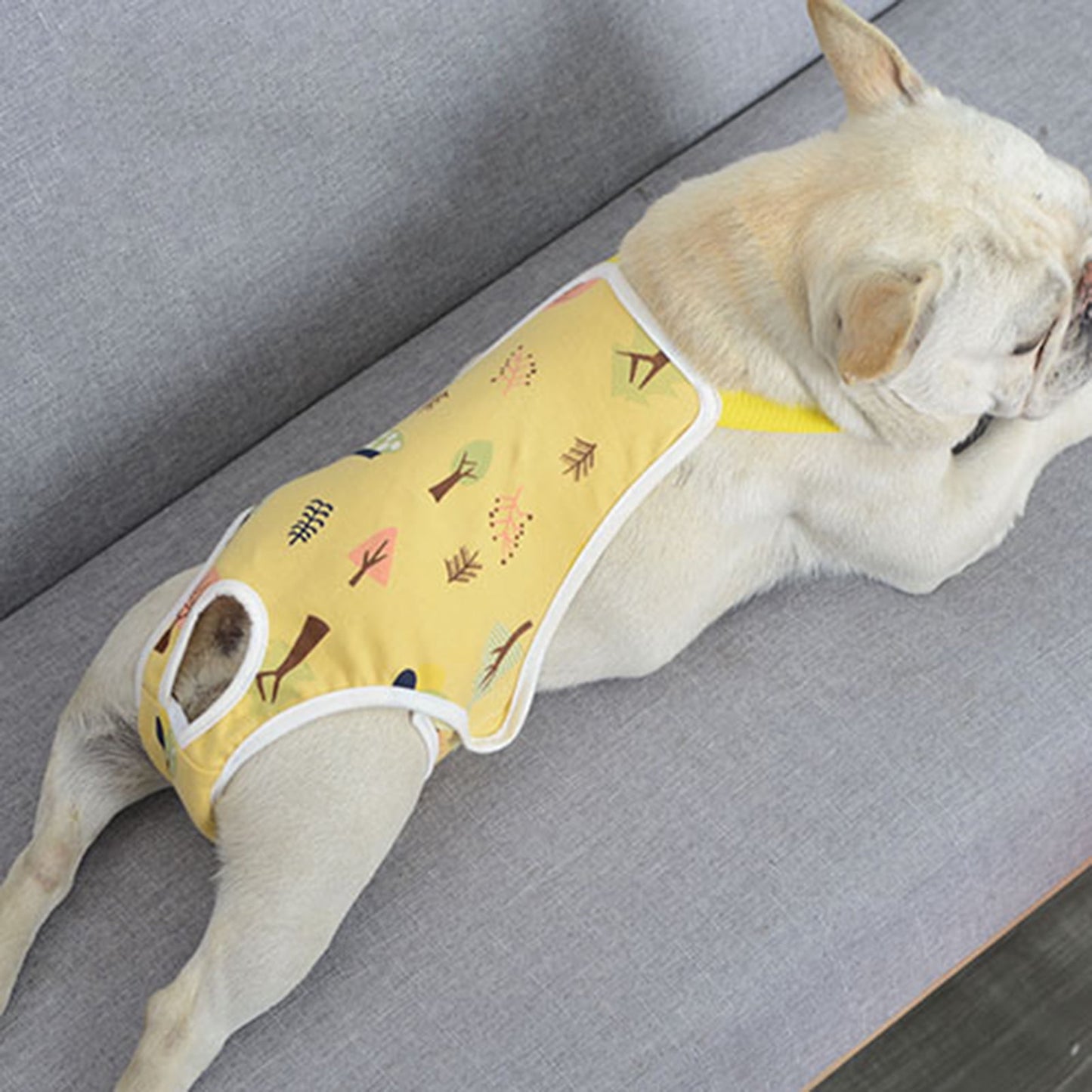 opvise Pet Sanitary Pants Adjustable Band Menstruation Shorts Washable Dog Diaper Pet Physiological Pants for Indoor L Yellow
