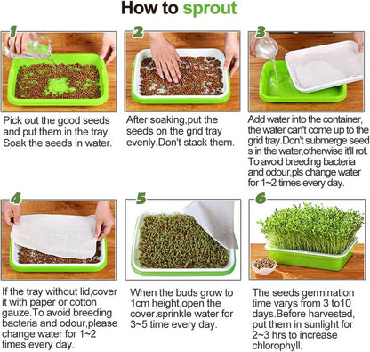 Tutuviw BPA Free Hydroponics Soilless Seeds Sprouter Microgreen Seed Sprouter Trays Seed Germination Double Tier Grow Trays with Lid 1PCS-Seed Sprouter Tray+Lid
