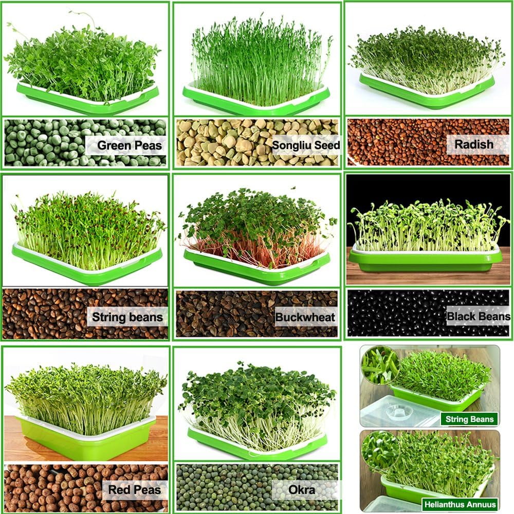 Tutuviw BPA Free Hydroponics Soilless Seeds Sprouter Microgreen Seed Sprouter Trays Seed Germination Double Tier Grow Trays with Lid 1PCS-Seed Sprouter Tray+Lid