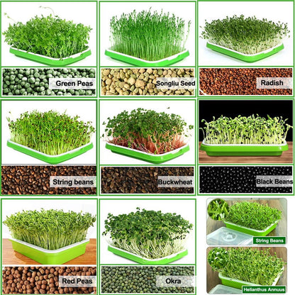 Tutuviw BPA Free Hydroponics Soilless Seeds Sprouter Microgreen Seed Sprouter Trays Seed Germination Double Tier Grow Trays with Lid 1PCS-Seed Sprouter Tray+Lid