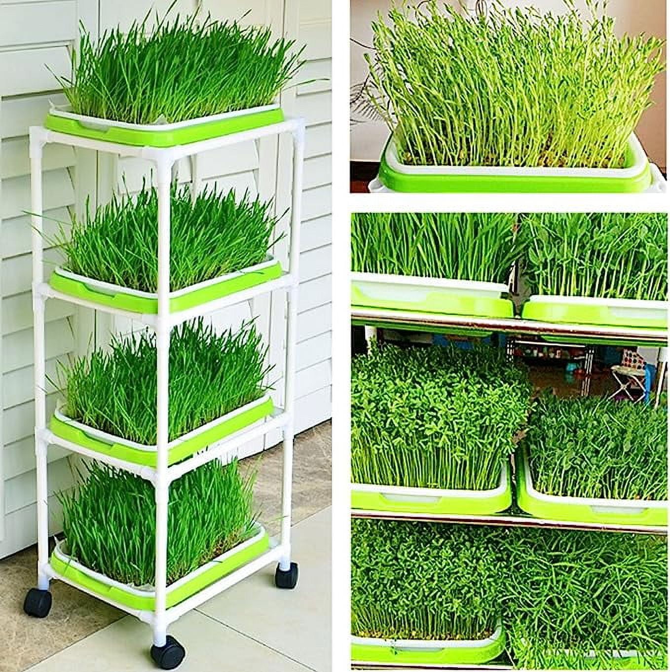 Tutuviw BPA Free Hydroponics Soilless Seeds Sprouter Microgreen Seed Sprouter Trays Seed Germination Double Tier Grow Trays with Lid 1PCS-Seed Sprouter Tray+Lid
