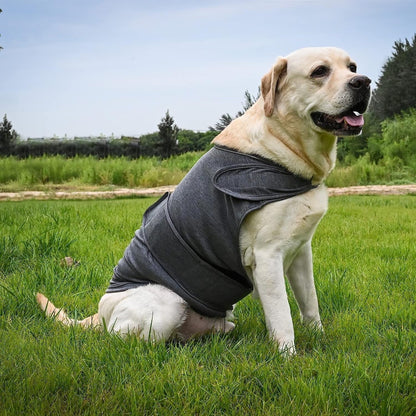 Dog Jacket, Skin-Friendly Dog Calming Vest - Dog Shirt for Thunder, Fireworks and Separation - Keep Pet Calm Without Medicine & Training, Anti Anxiety Vest for Dogs XS Rose Red