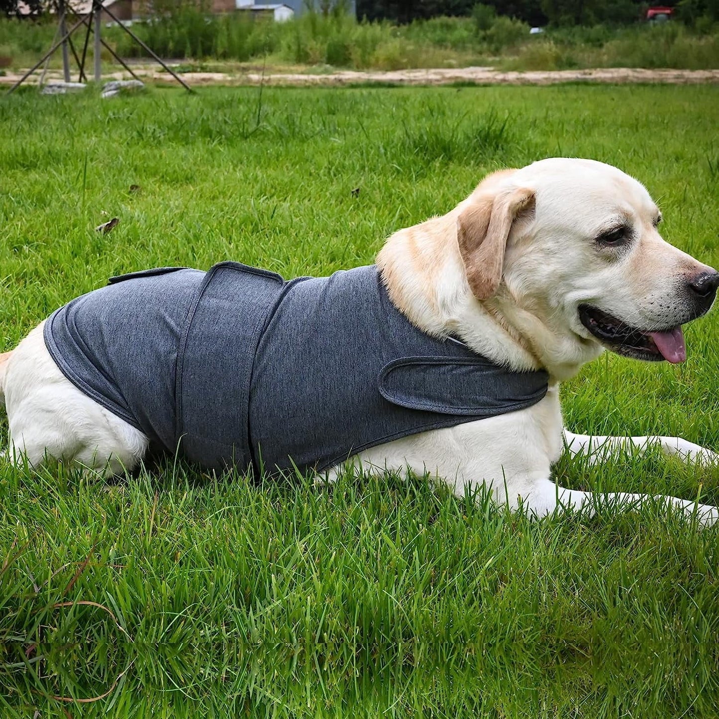 Dog Jacket, Skin-Friendly Dog Calming Vest - Dog Shirt for Thunder, Fireworks and Separation - Keep Pet Calm Without Medicine & Training, Anti Anxiety Vest for Dogs XL Rose Red