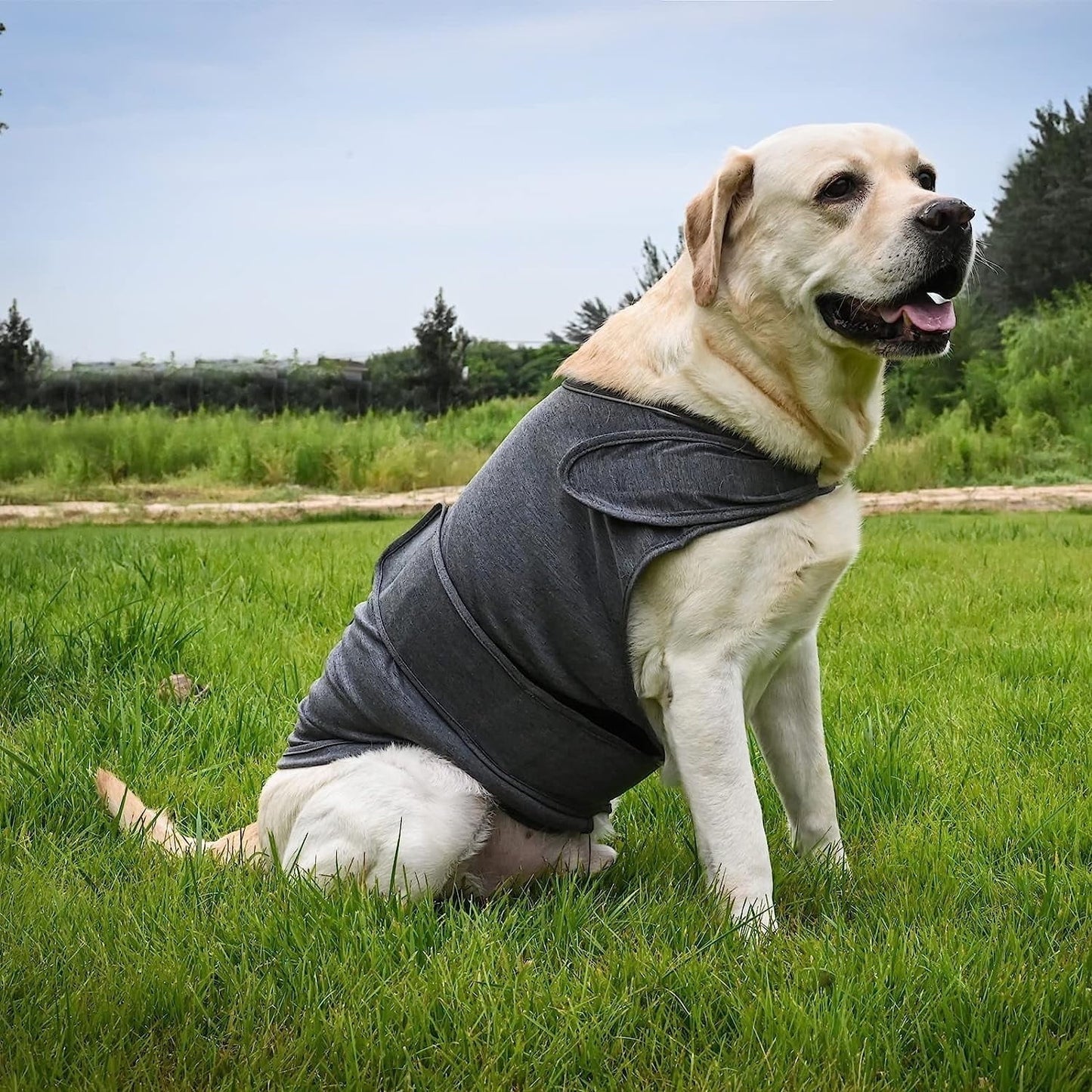 Dog Jacket, Skin-Friendly Dog Calming Vest - Dog Shirt for Thunder, Fireworks and Separation - Keep Pet Calm Without Medicine & Training, Anti Anxiety Vest for Dogs XL Rose Red
