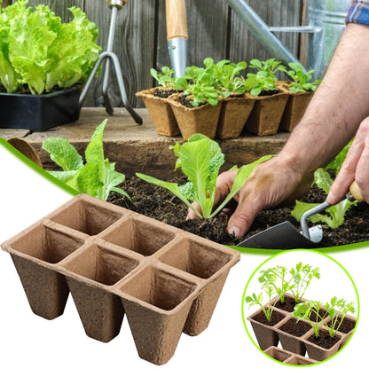 Darzheoy 30 Cells Peat Pots Seed Starter Trays 5 Packs Biodegradable Seedling Pots Germination Trays Organic Plant Starter Kit A