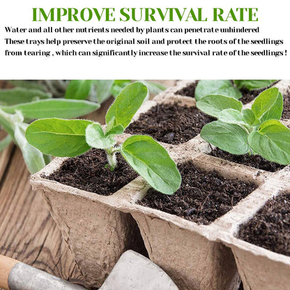 Darzheoy 30 Cells Peat Pots Seed Starter Trays 5 Packs Biodegradable Seedling Pots Germination Trays Organic Plant Starter Kit A