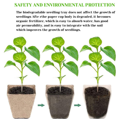 Darzheoy 30 Cells Peat Pots Seed Starter Trays 5 Packs Biodegradable Seedling Pots Germination Trays Organic Plant Starter Kit A