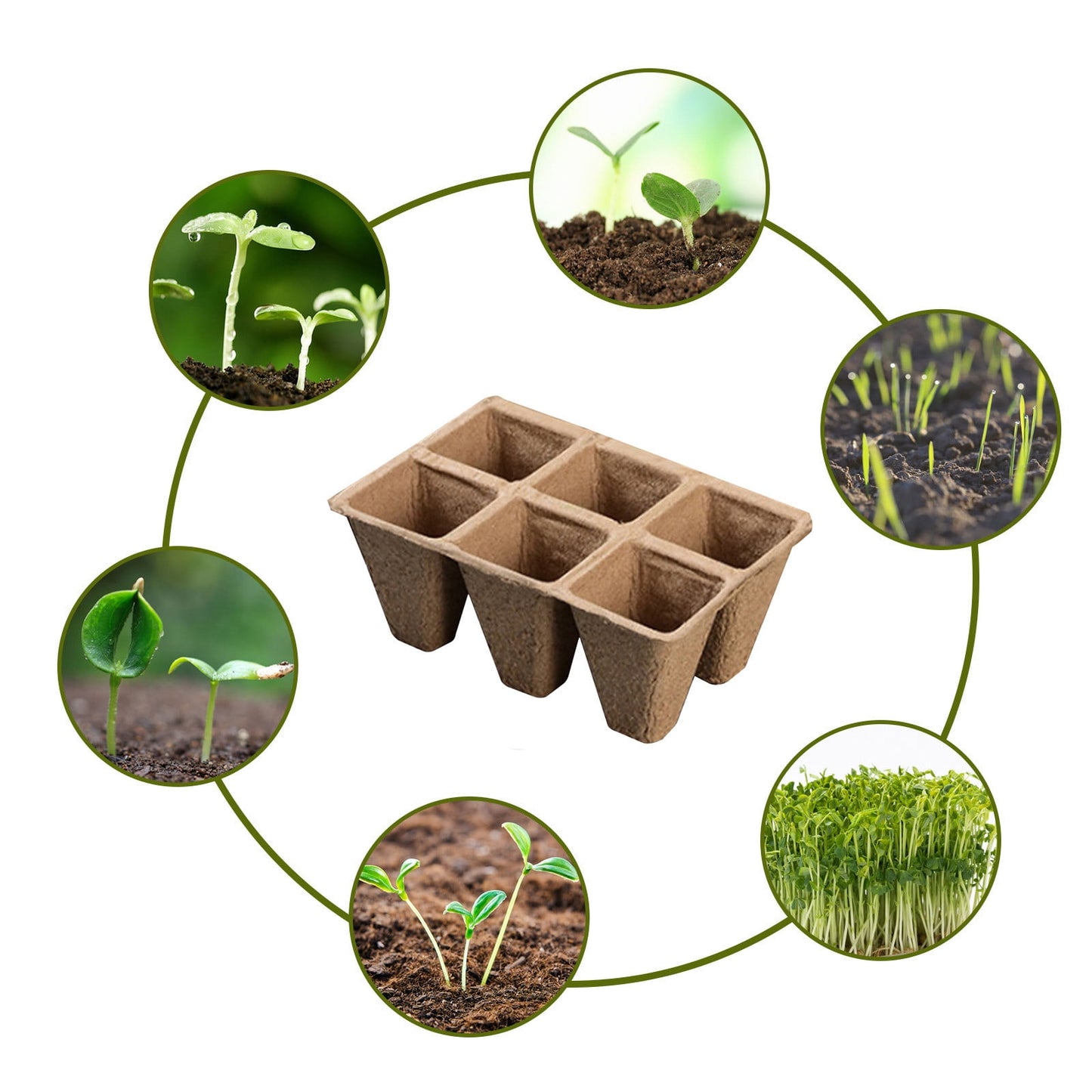 Darzheoy 30 Cells Peat Pots Seed Starter Trays 5 Packs Biodegradable Seedling Pots Germination Trays Organic Plant Starter Kit C