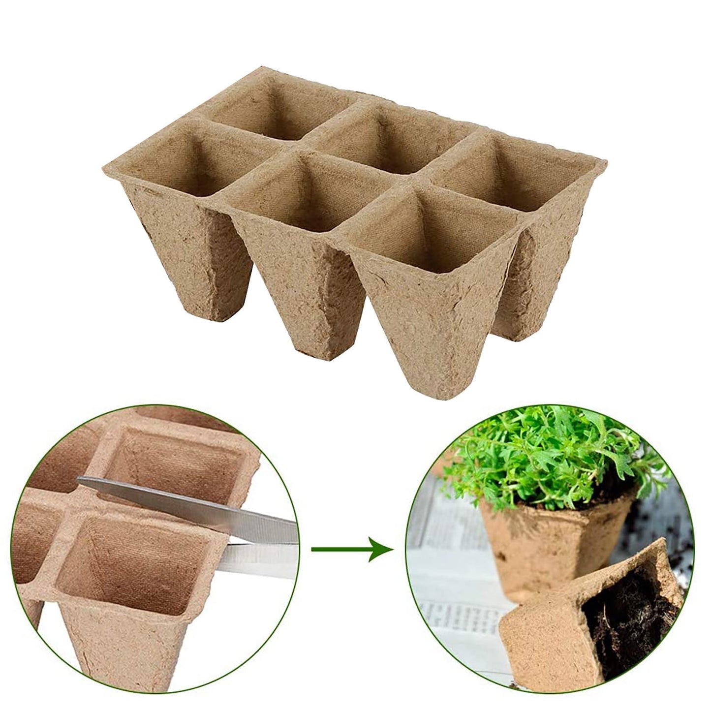 Darzheoy 30 Cells Peat Pots Seed Starter Trays 5 Packs Biodegradable Seedling Pots Germination Trays Organic Plant Starter Kit C