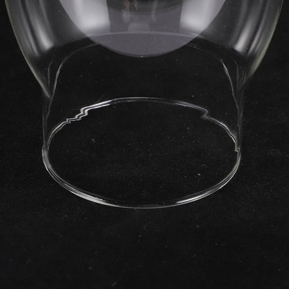 WHAMVOX Transparent Replacement Globe for Kerosene Lamp Shade, Light Cover for Oil Lamps