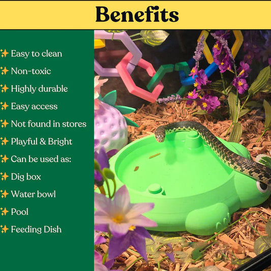 Mini Turtle Sandbox Desk Toy with  Small Tools, Mini Zen Garden Fidget Stress Relief Toys for Adults and Kids, Desktop Decor Accessories for Home and Office.