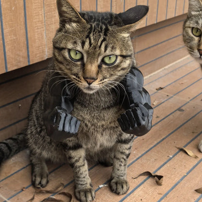 3D printed Black Batman Hood for Kittens Small