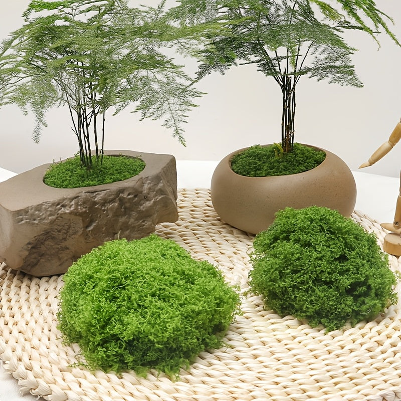 diy artificial moss lawn-Dark Green Filamentous Moss 100g