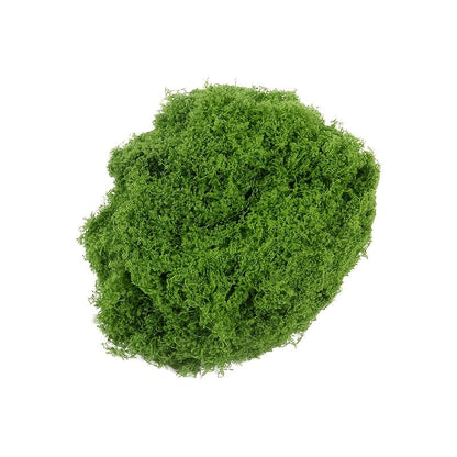 diy artificial moss lawn-Dark Green Filamentous Moss 100g