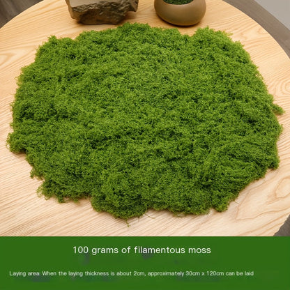 diy artificial moss lawn-Dark Green Filamentous Moss 100g