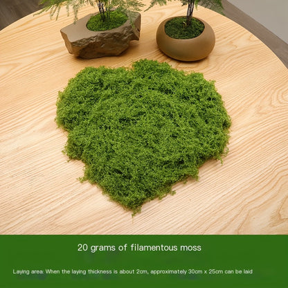 diy artificial moss lawn-Dark Green Filamentous Moss 100g