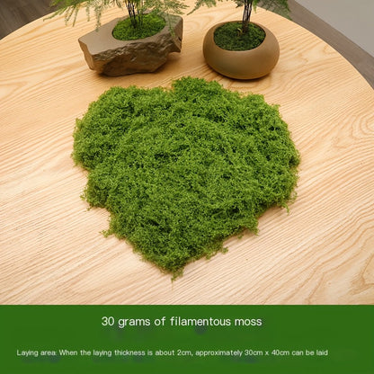 diy artificial moss lawn-Dark Green Filamentous Moss 100g