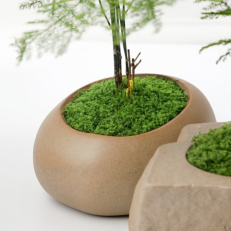 diy artificial moss lawn-Dark Green Filamentous Moss 200g