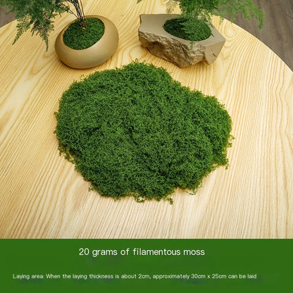 diy artificial moss lawn-Dark Green Filamentous Moss 200g