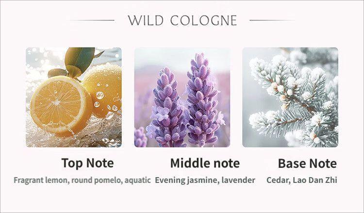 Car Aromatherapy-Pink.