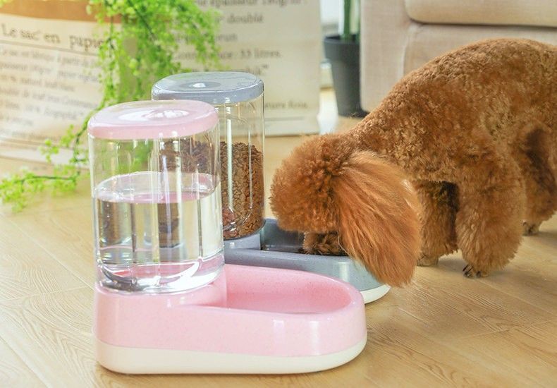 Pet automatic feeder-Blue Feeder